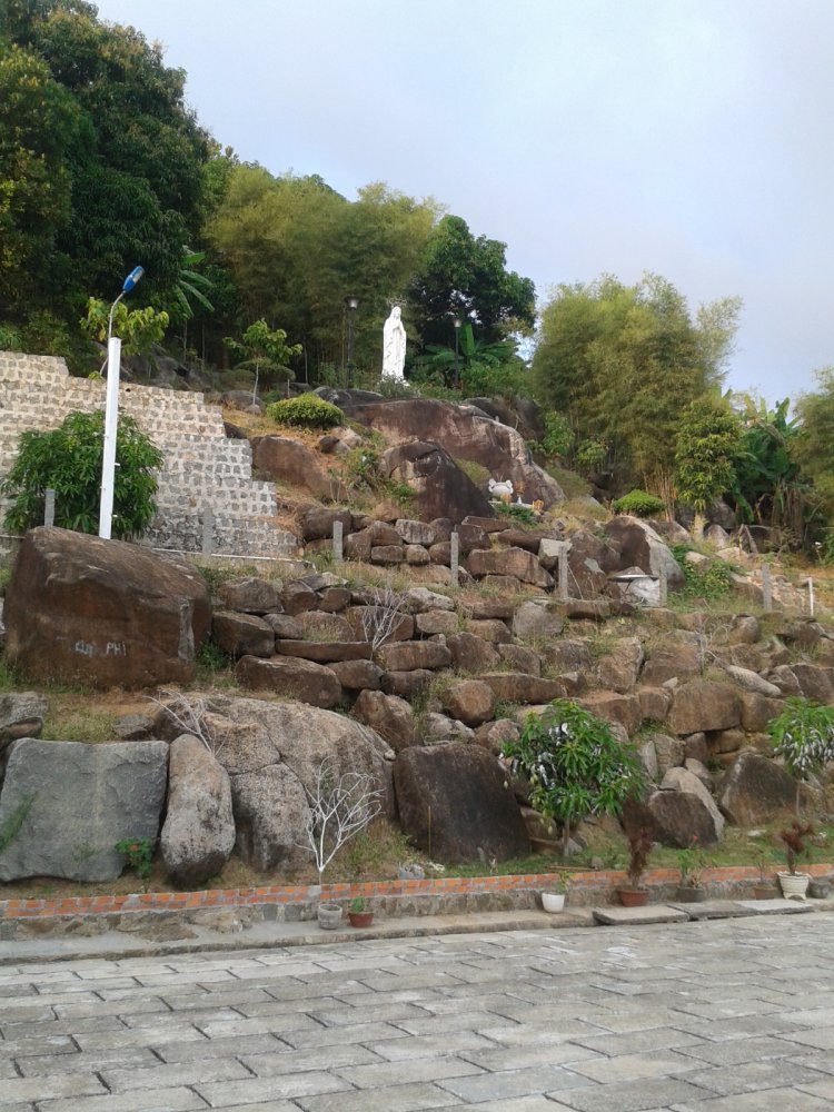20180301_173356.jpg