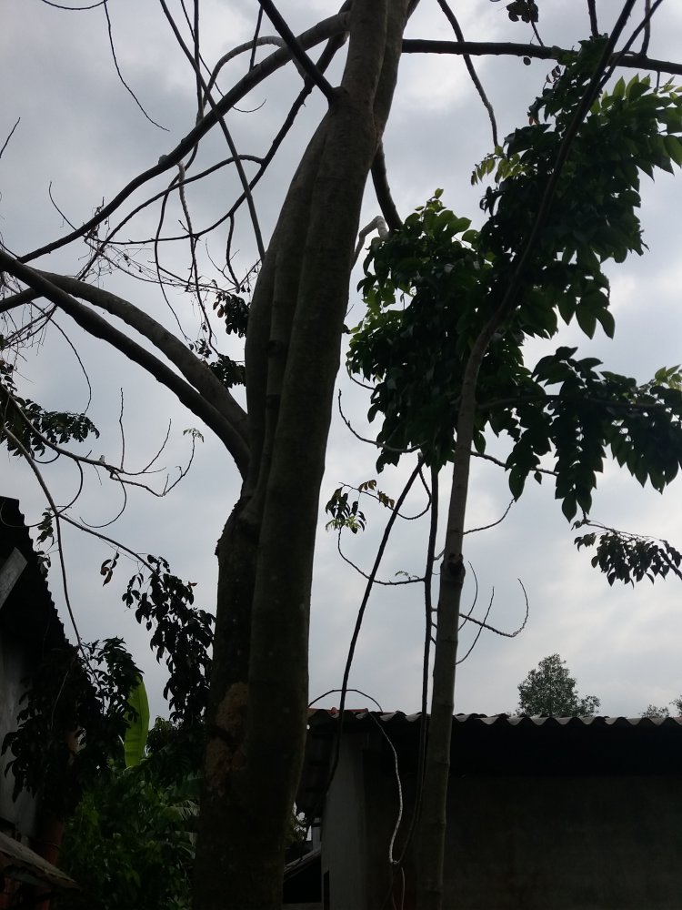20180314_151540.jpg