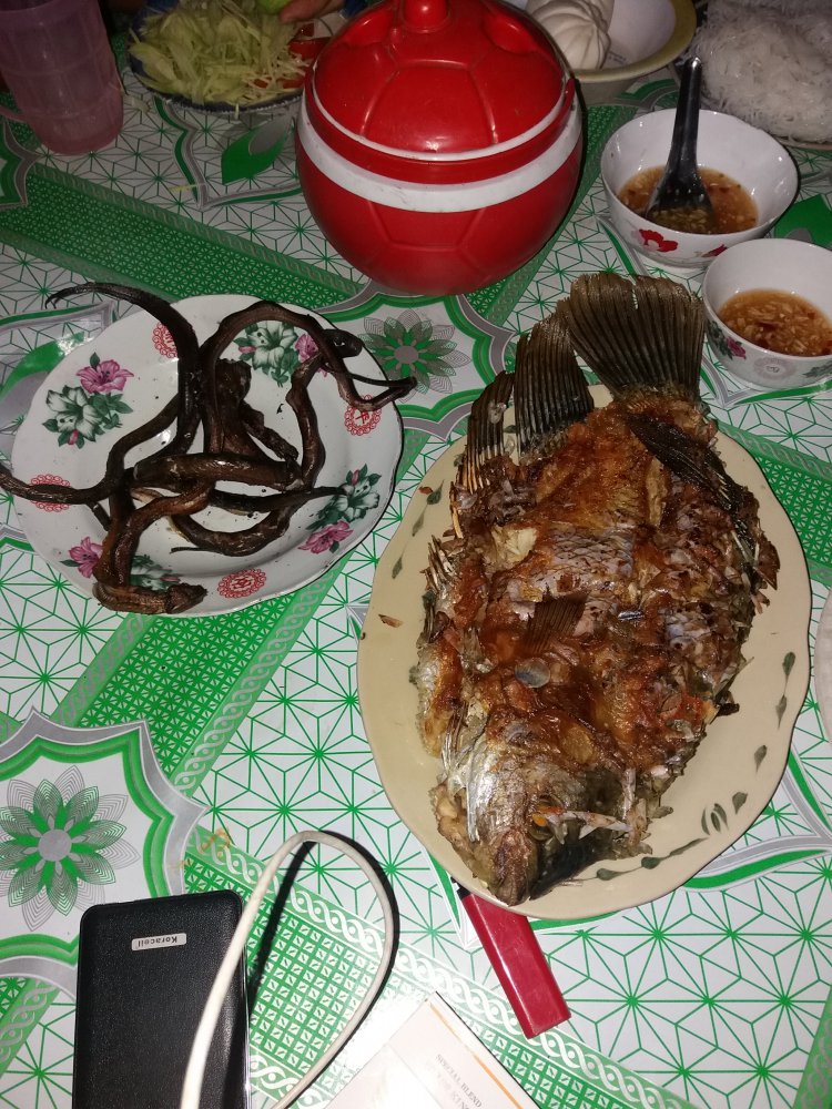 20180421_191428.jpg