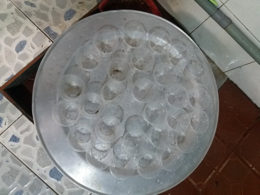 20180505_123927.jpg