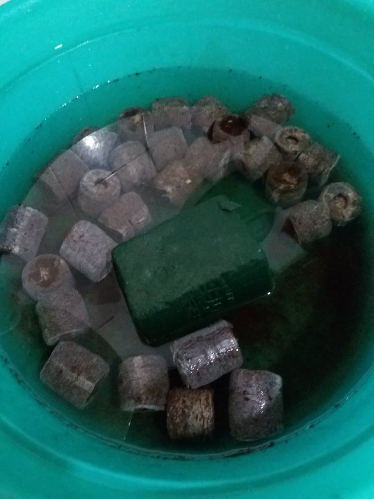 20180505_123936.jpg