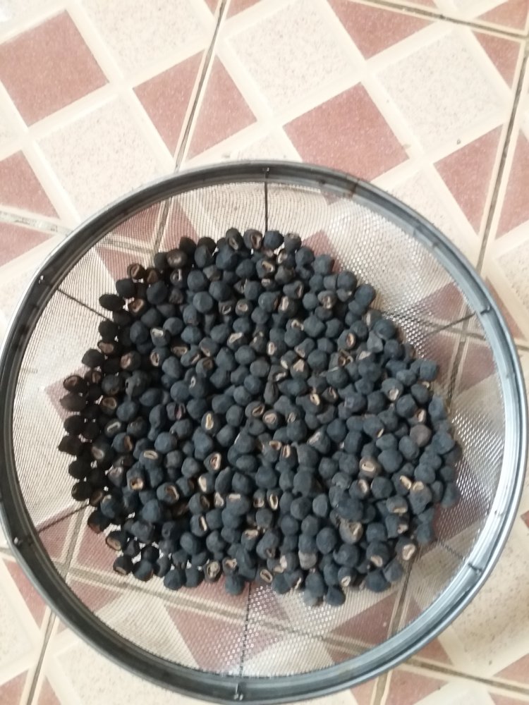20180521_111611.jpg