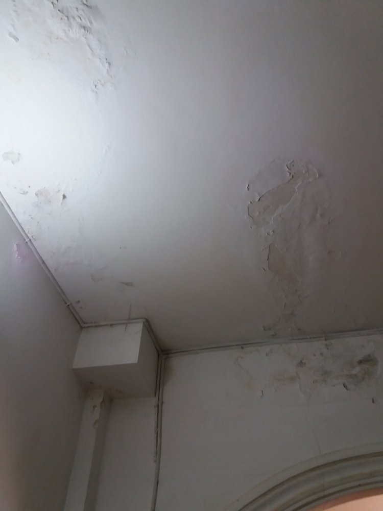 20180525_090208.jpg