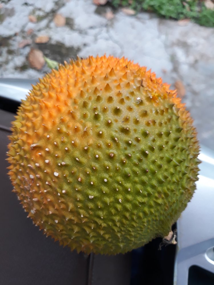 20180526_170526.jpg