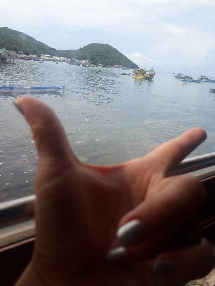 20180601_155229.jpg