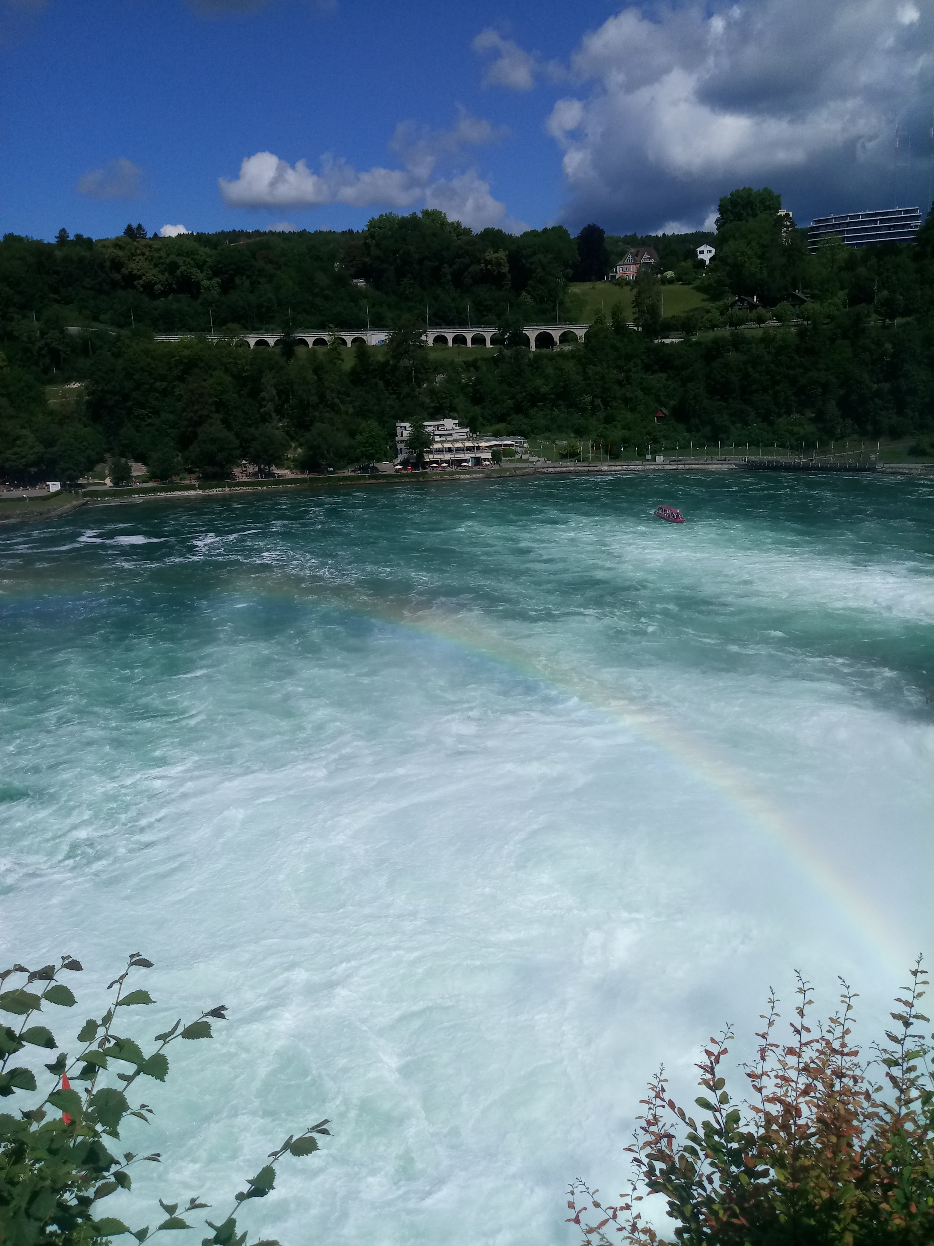 20180602_105352.jpg