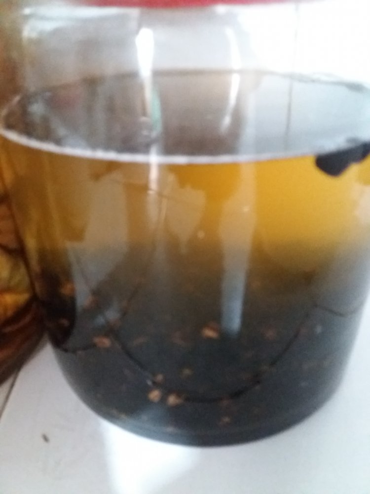 20180604_105556.jpg
