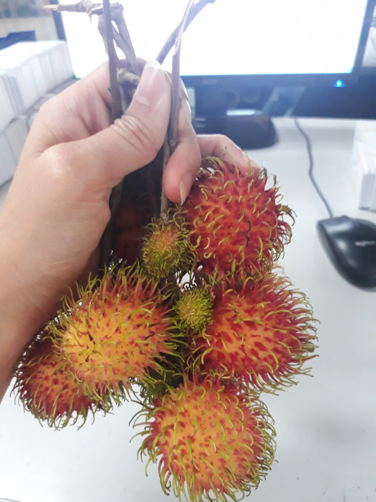 20180622_131044.jpg