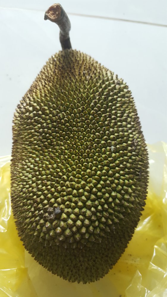 20180625_115205.jpg