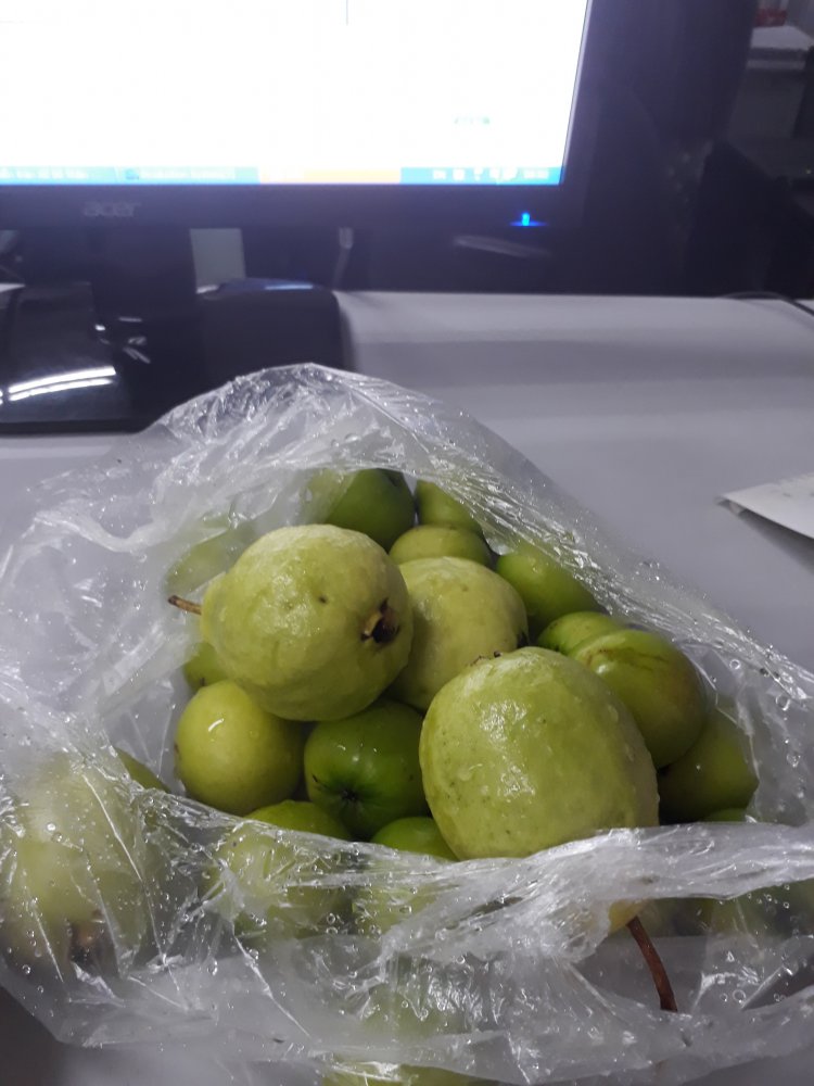 20180705_090220.jpg