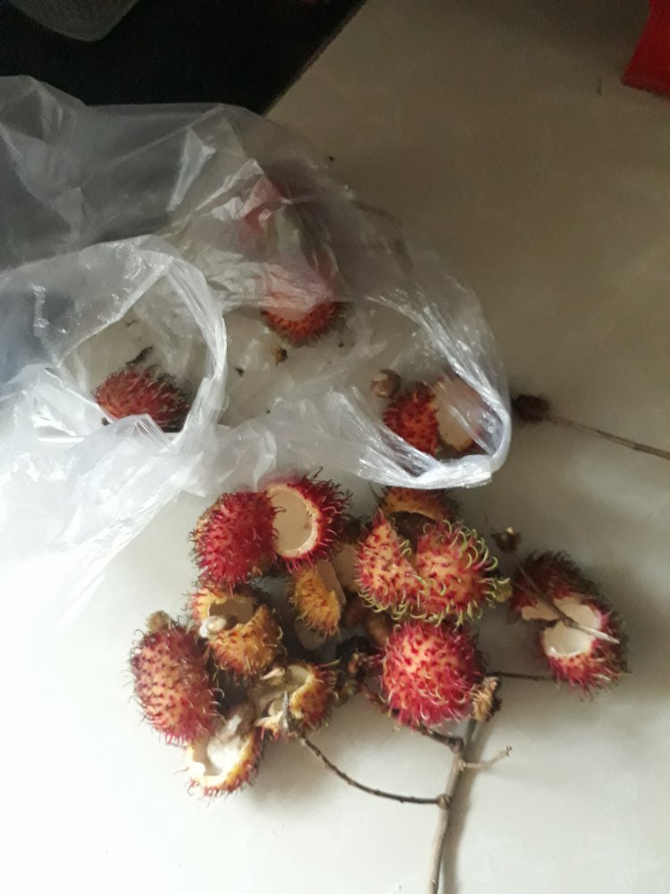 20180708_164554.jpg