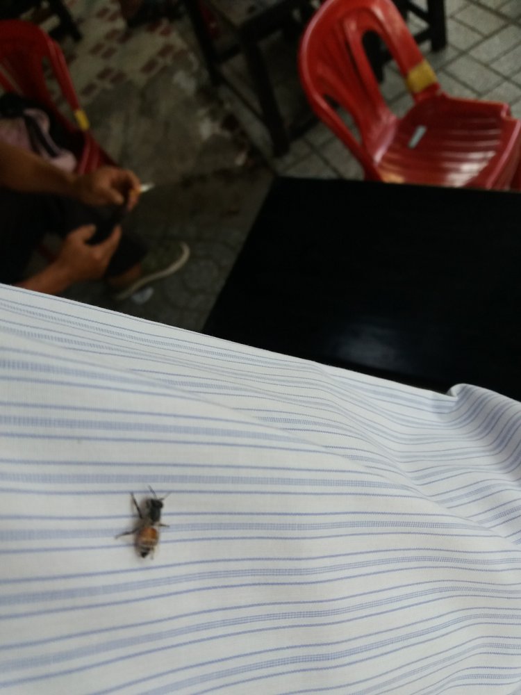 20180811_070602.jpg