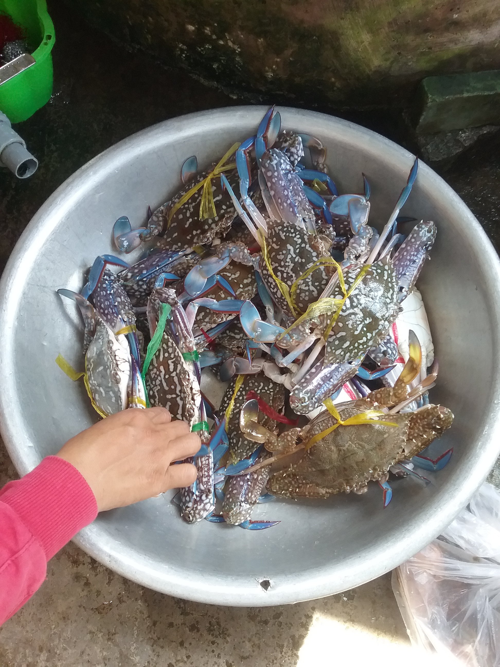 20181002_140039.jpg
