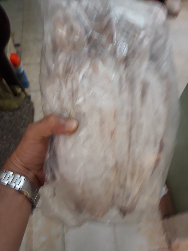 20181022_131016.jpg