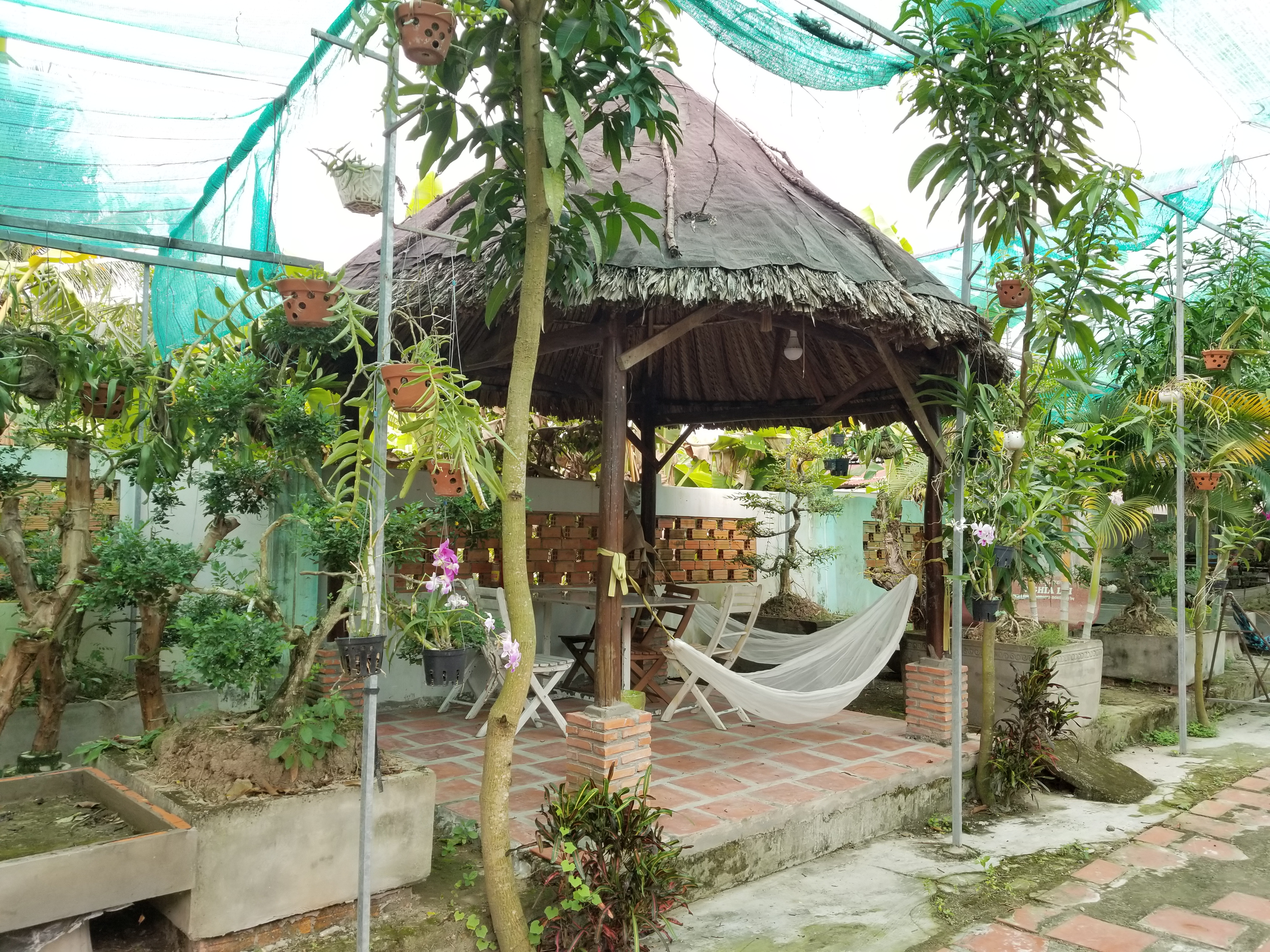 20181126_092602.jpg