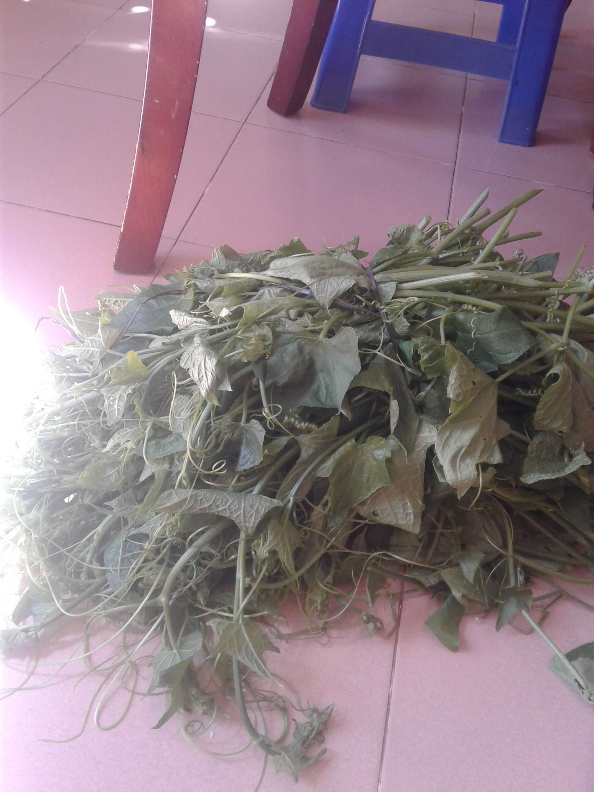 20181206_102847.jpg