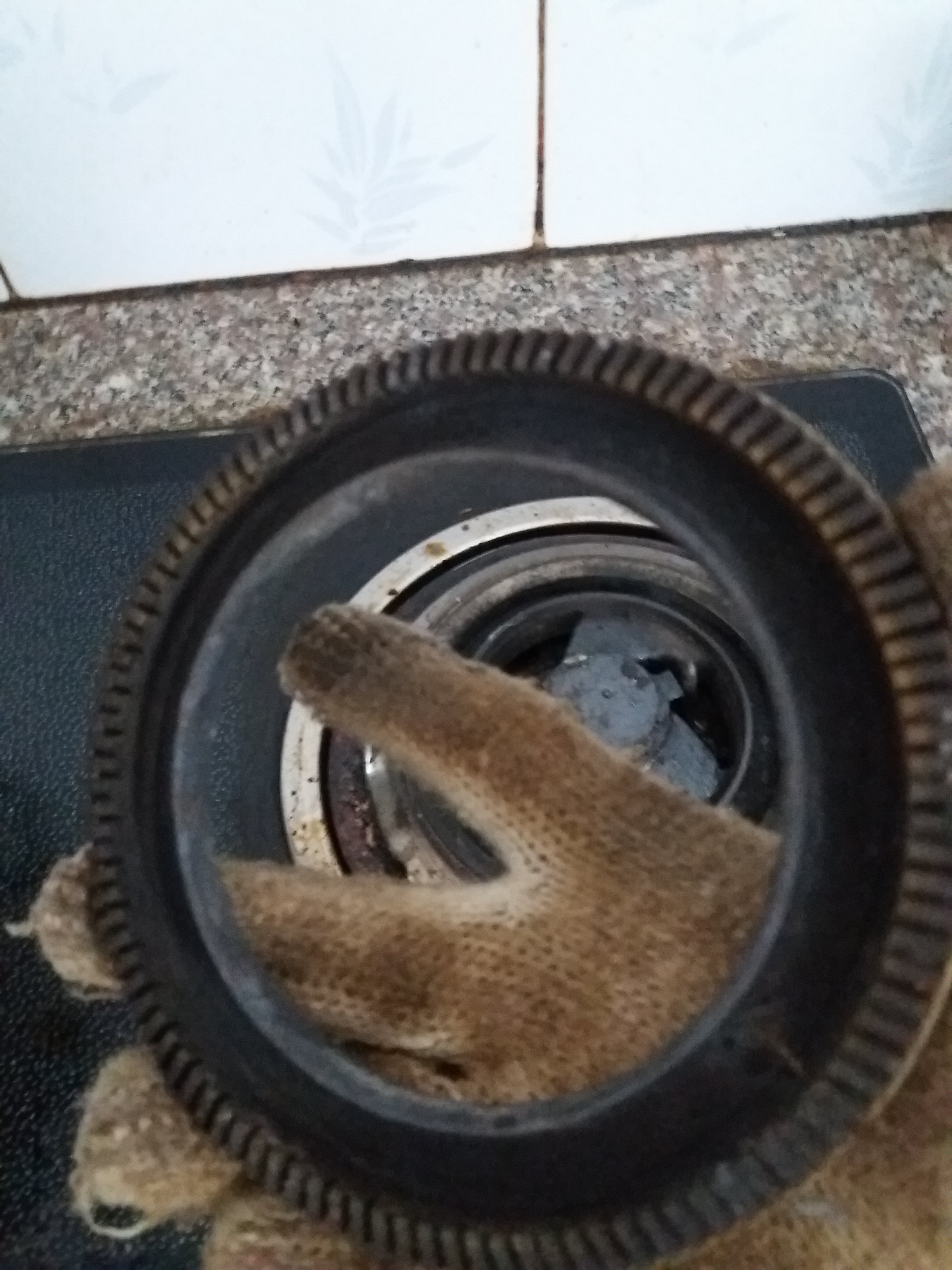 20181219_105043.jpg