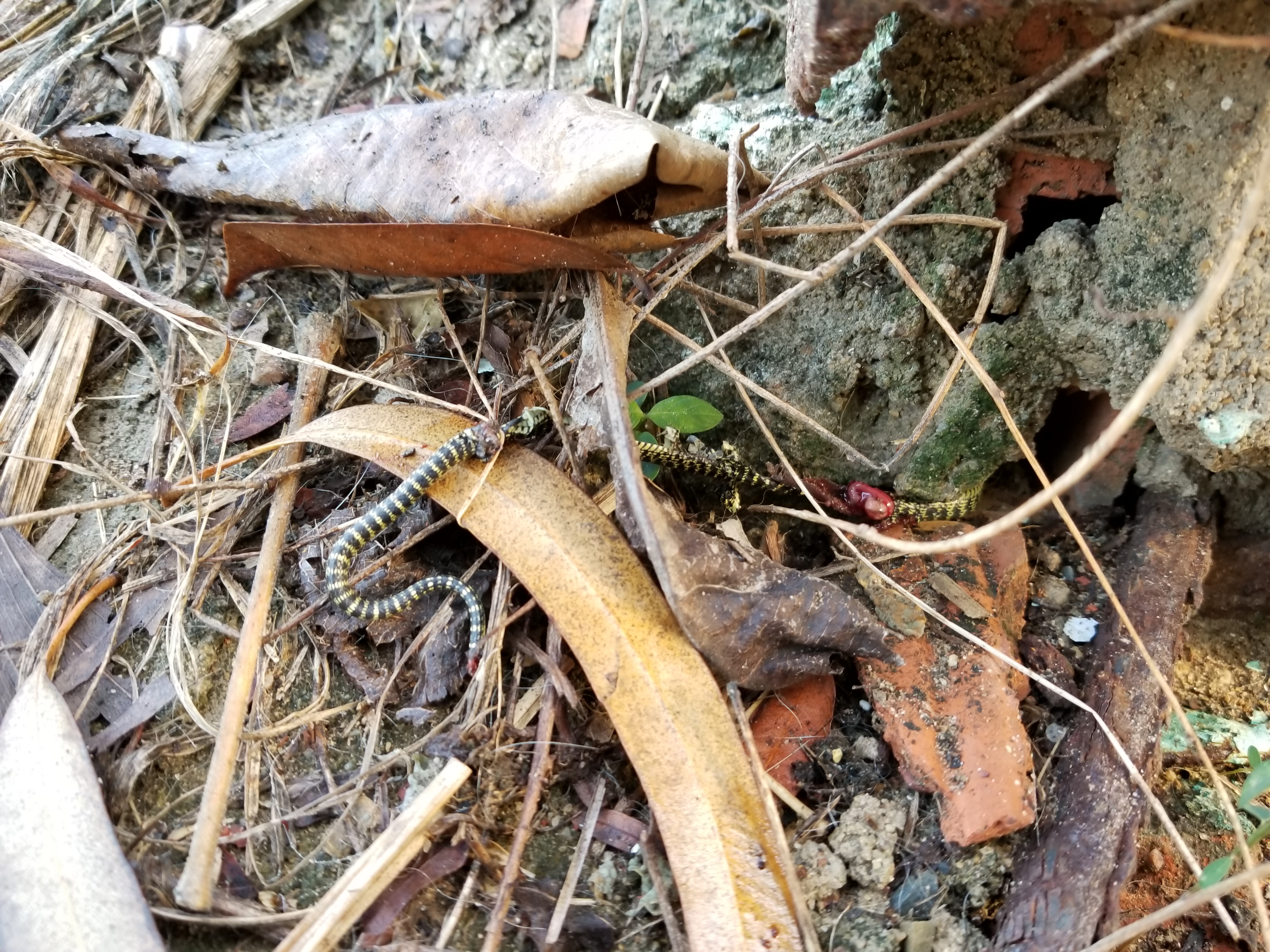 20181220_071748.jpg