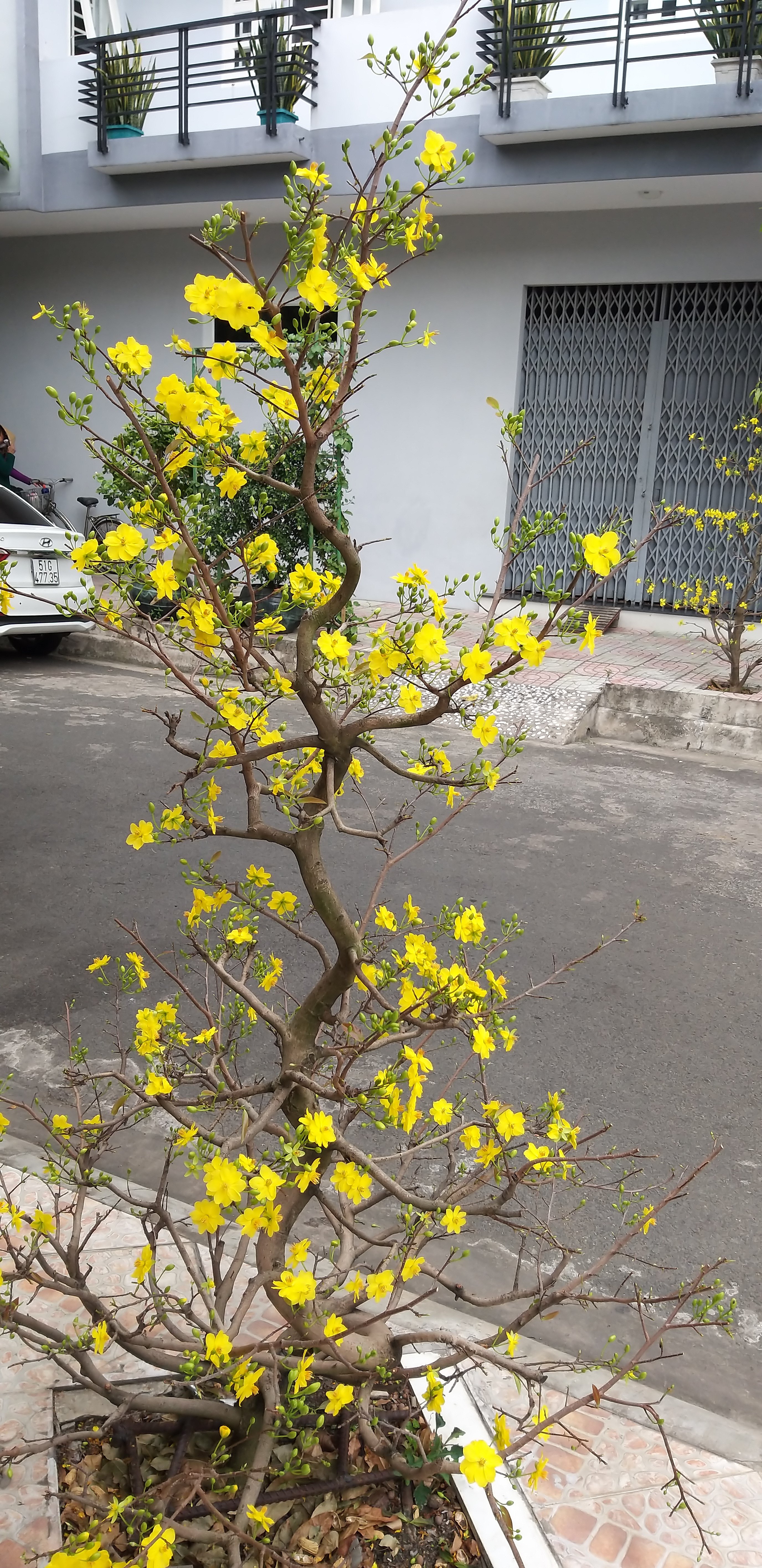 20190131_135148.jpg