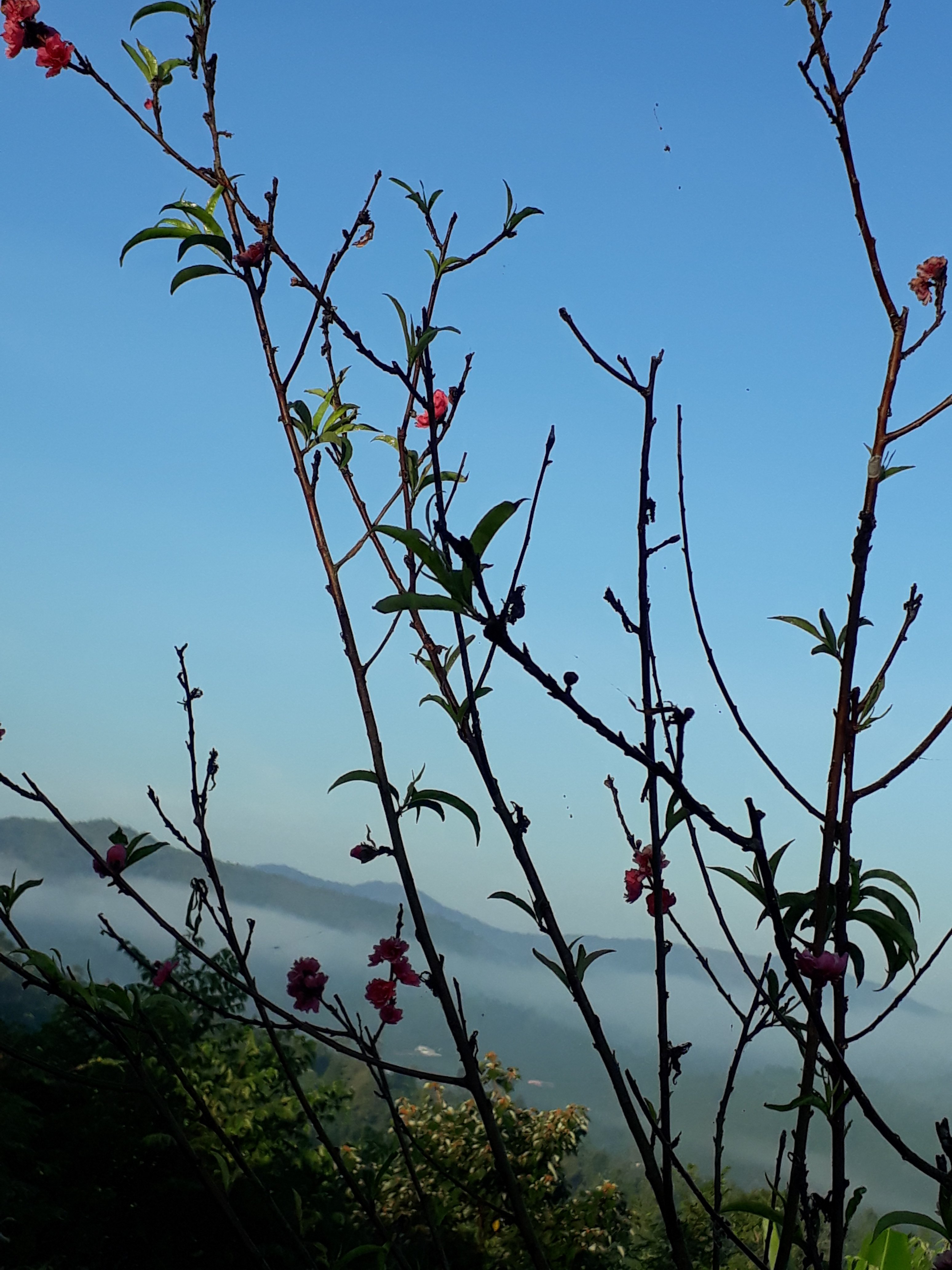 20190206_070757.jpg