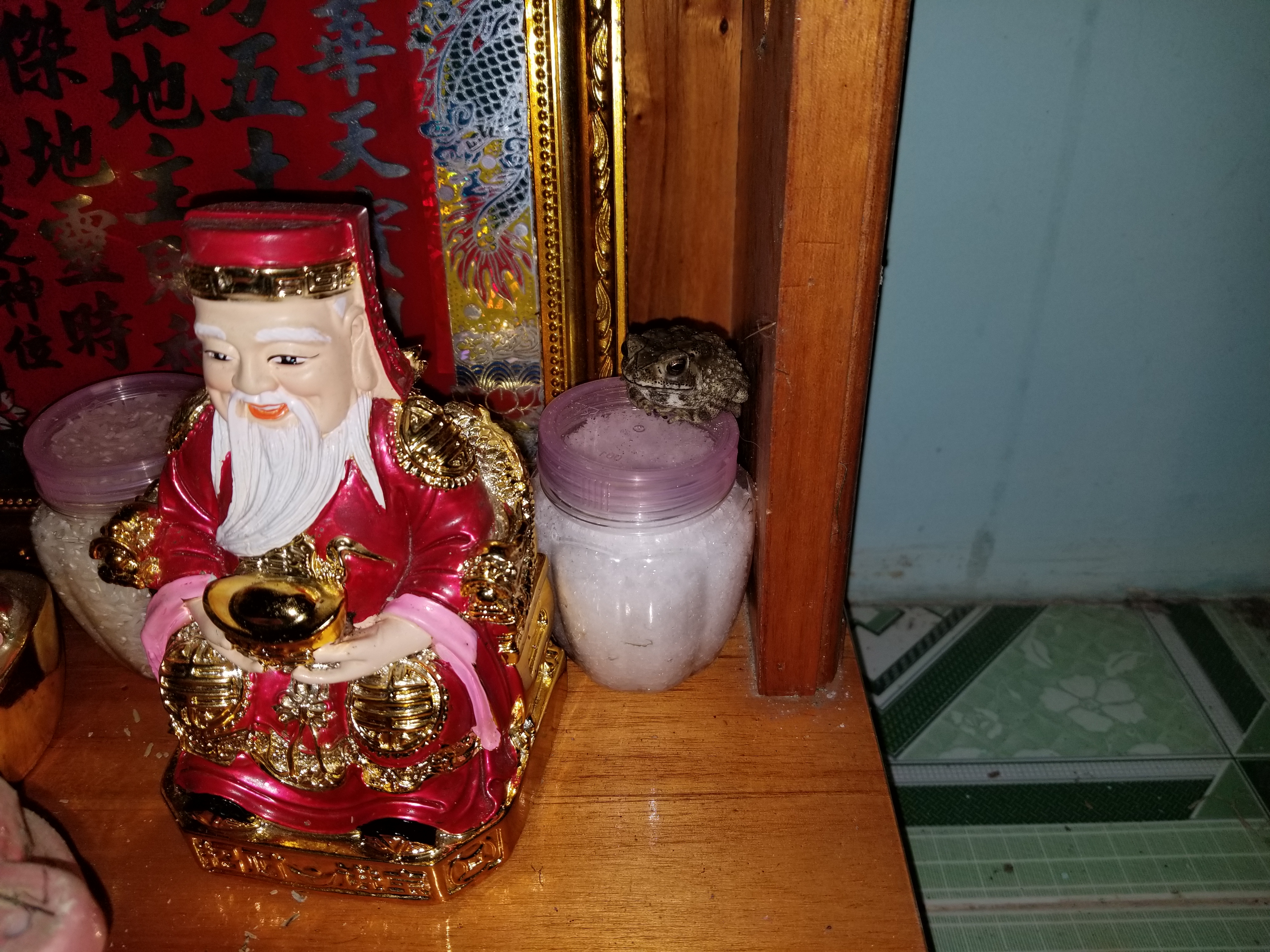 20190210_210617.jpg