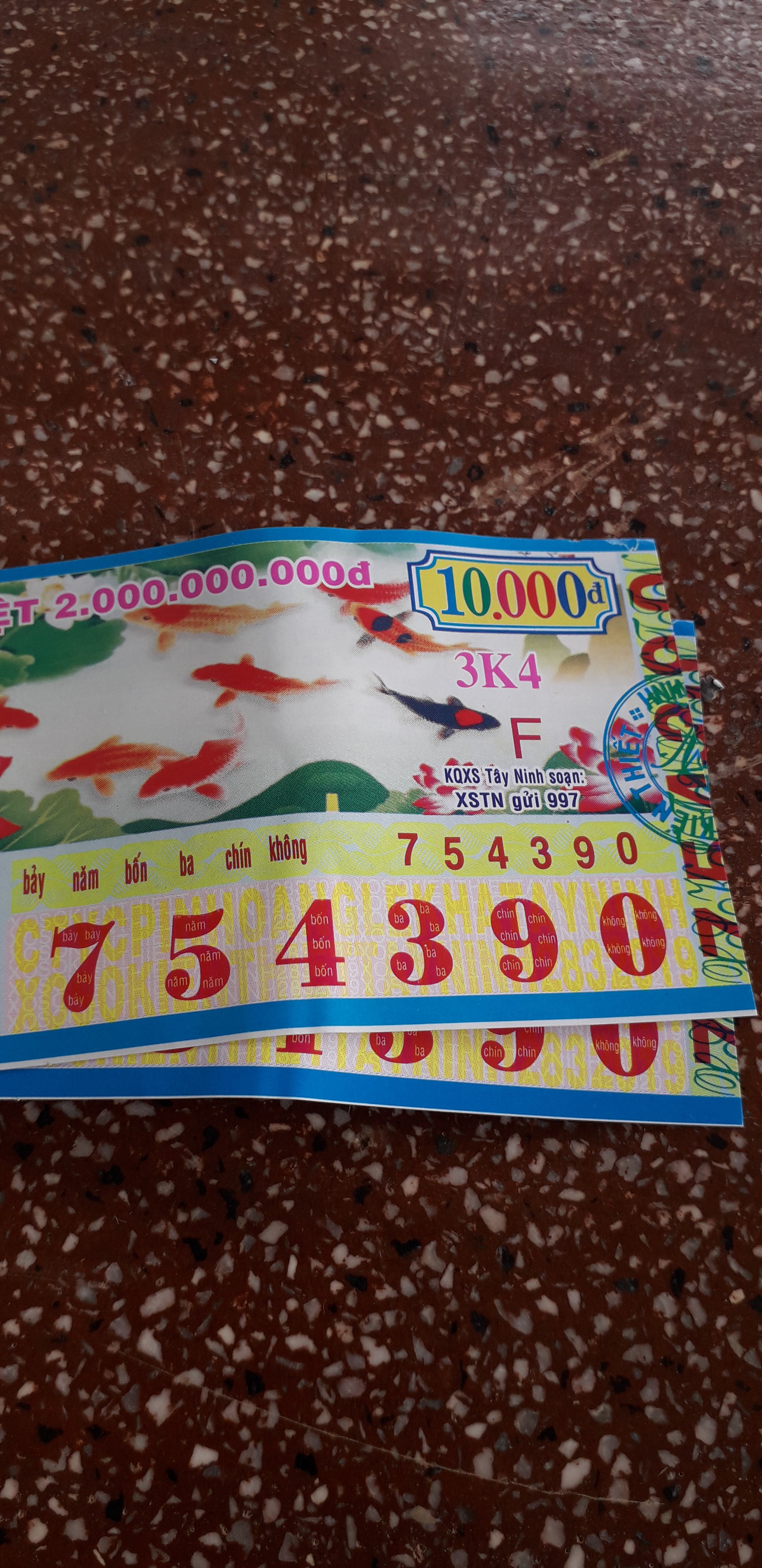 20190328_143412.jpg