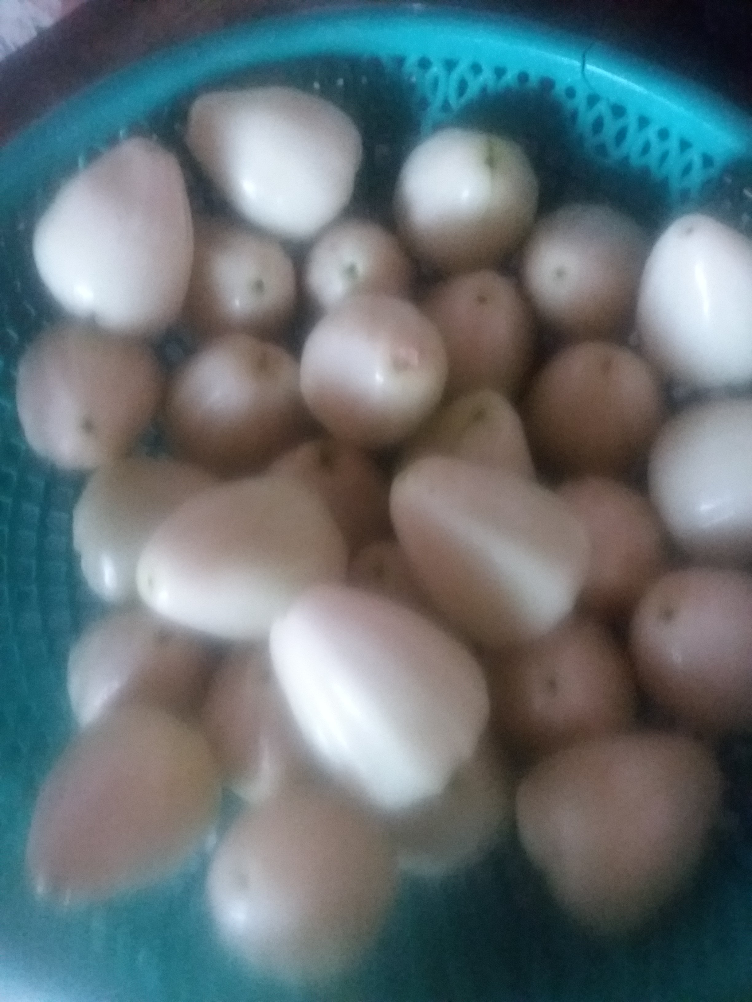 20190404_122643.jpg