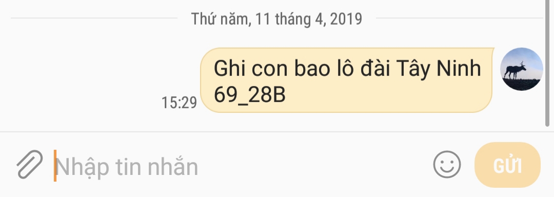 20190411_163328.jpg