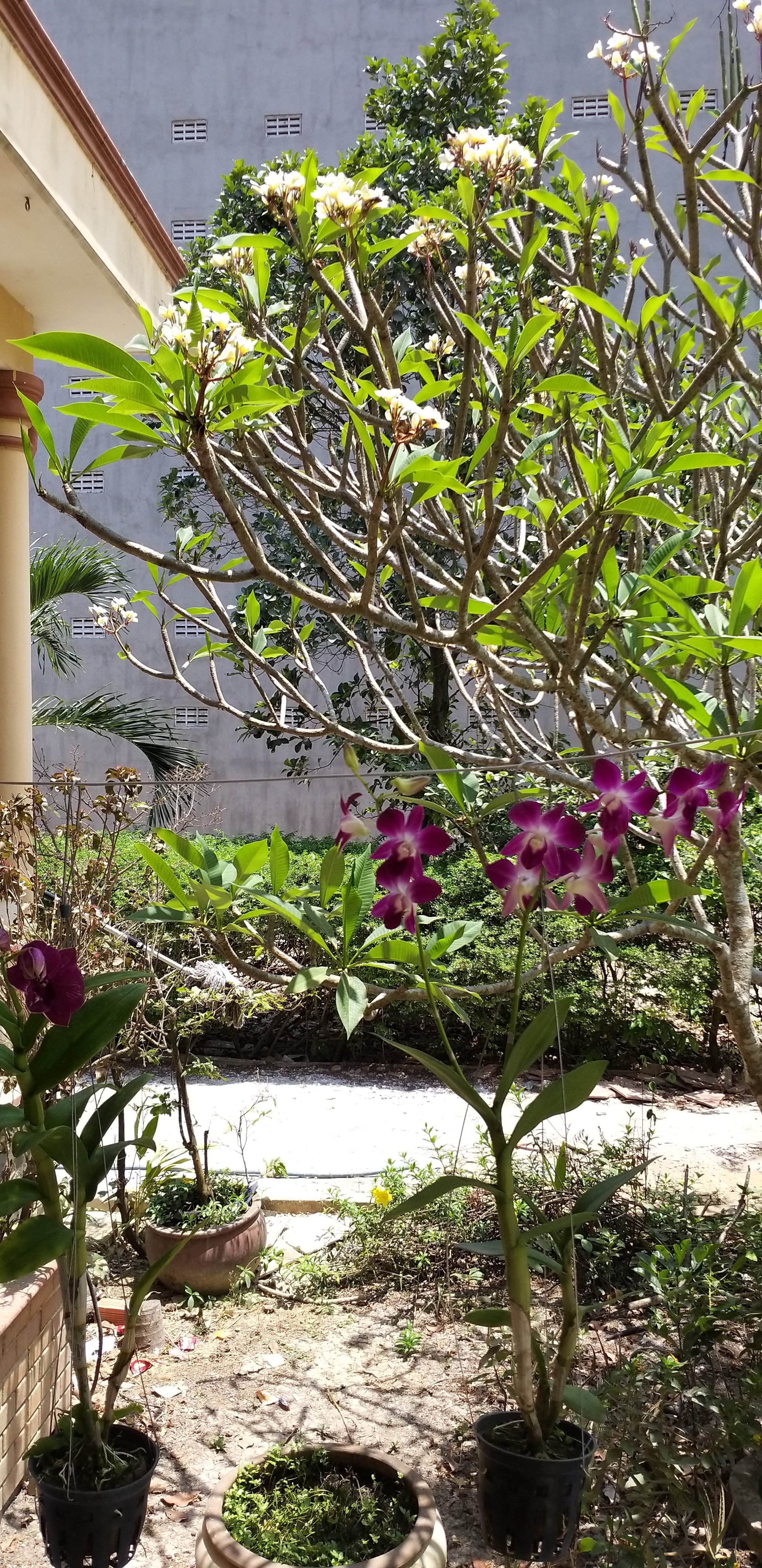 20190412_123659.jpg
