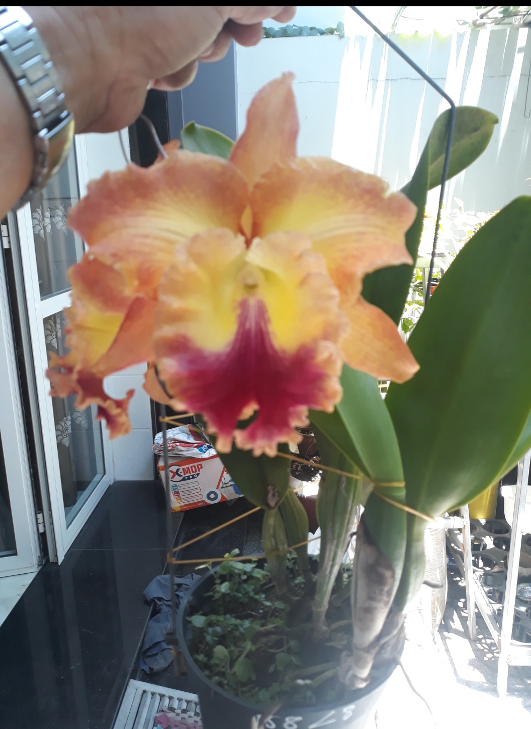 20190415_122838.jpg