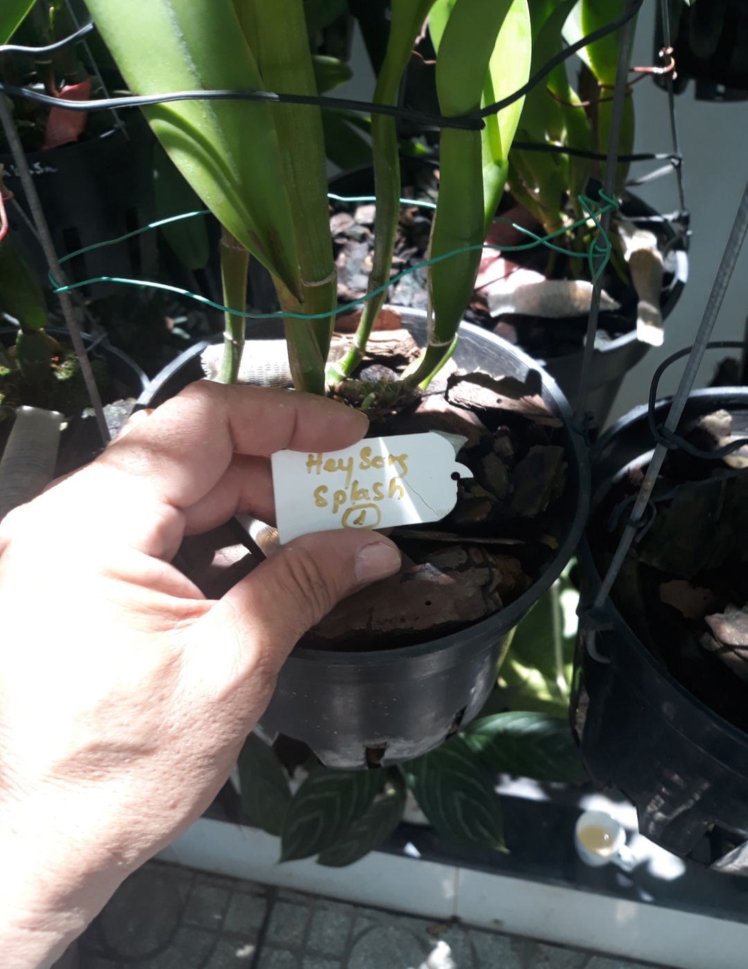 20190415_122852.jpg