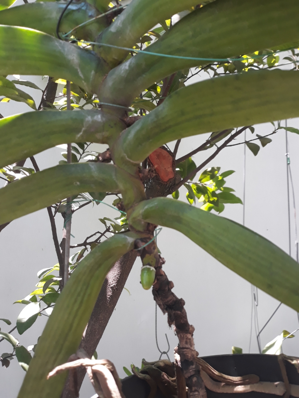 20190416_123906.jpg