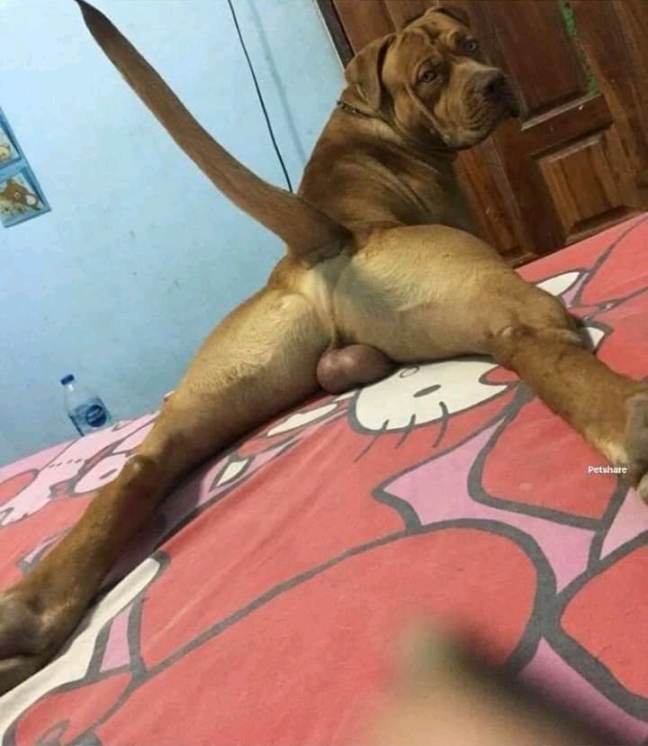 20190420_134742.jpg