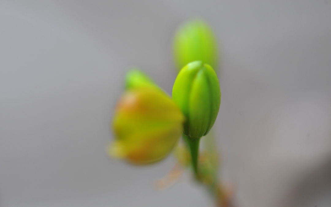 20190426_101030.jpg