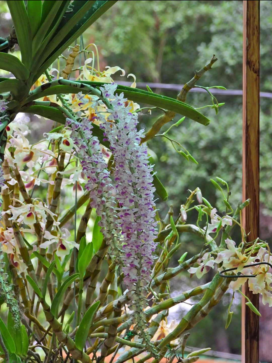 20190426_221826.jpg