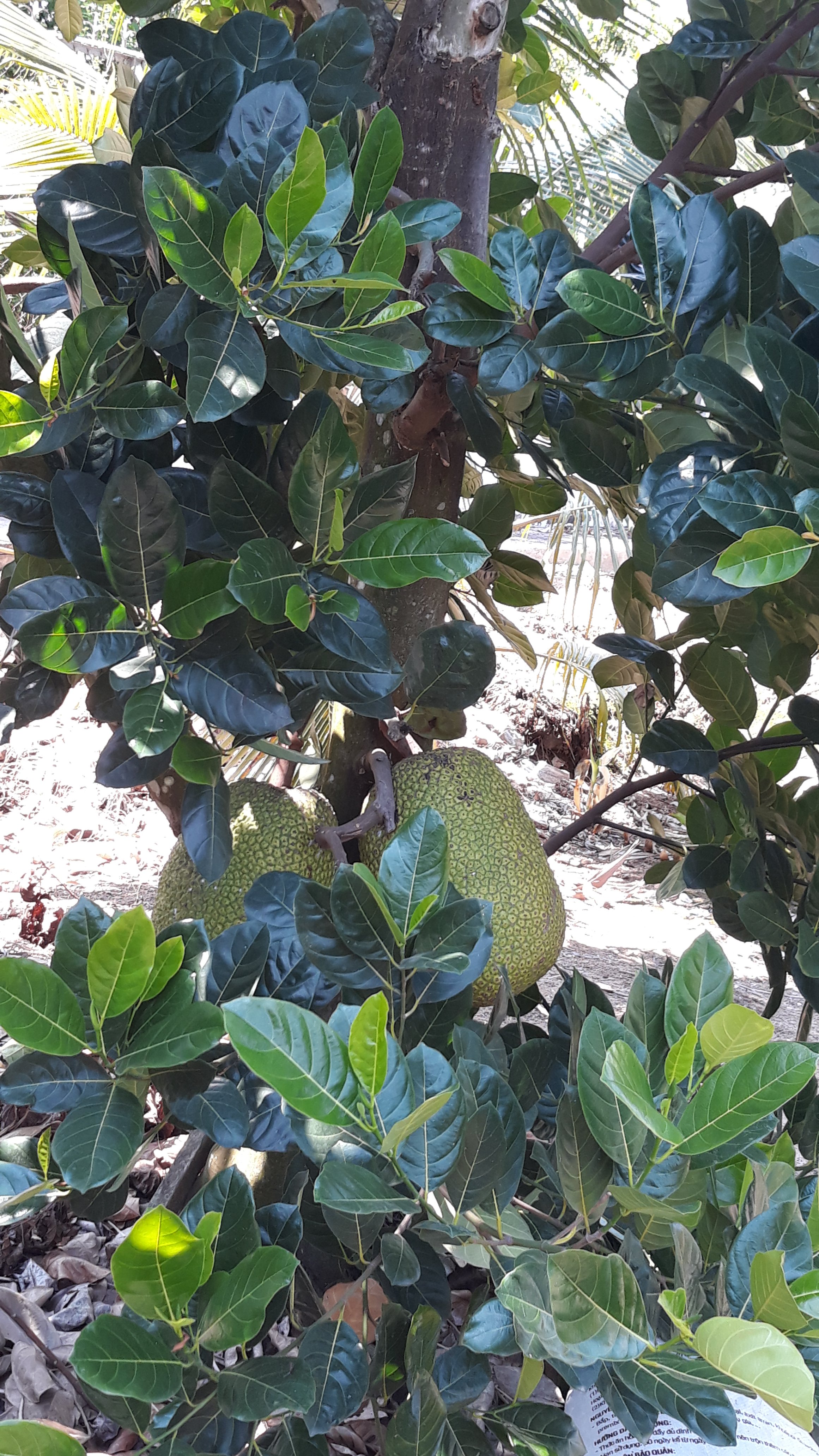 20190501_094404.jpg