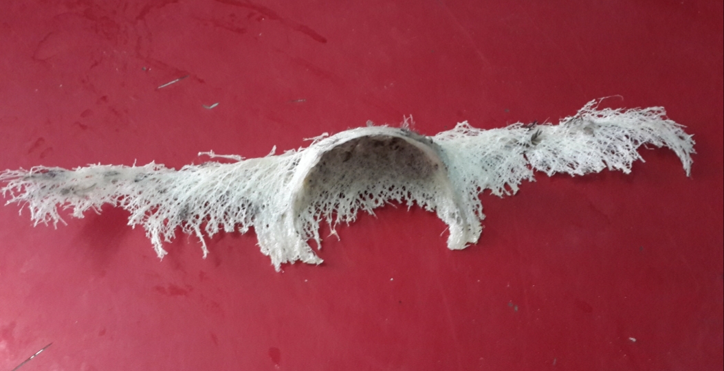 20190504_222610.jpg
