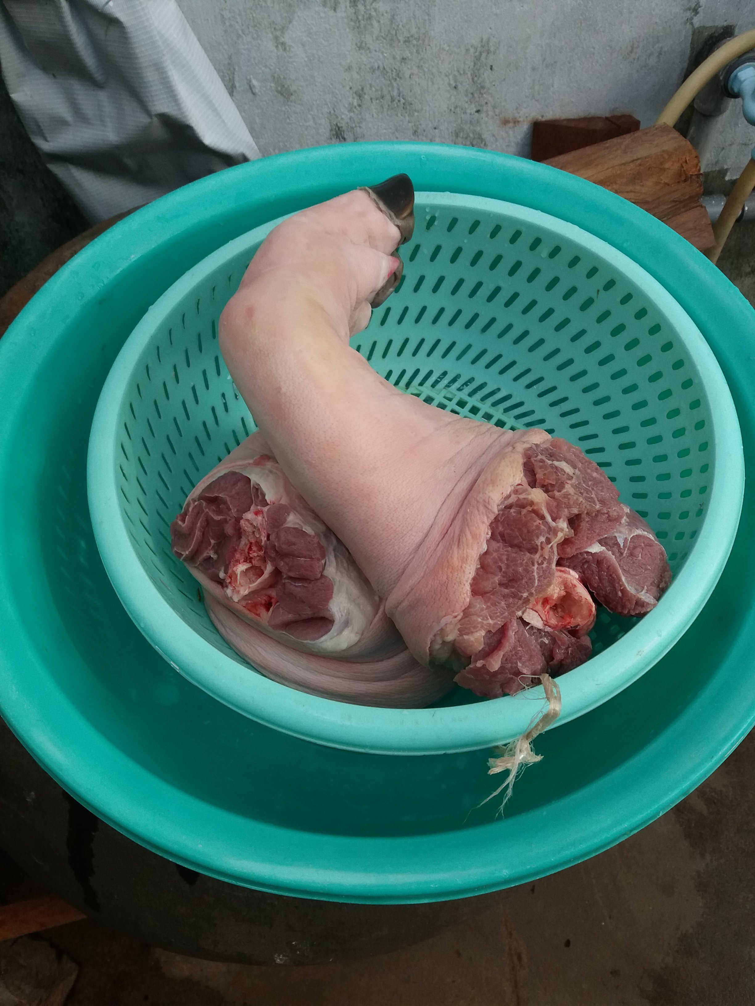20190514_082333.jpg