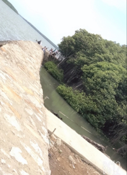 20190519_214742.jpg