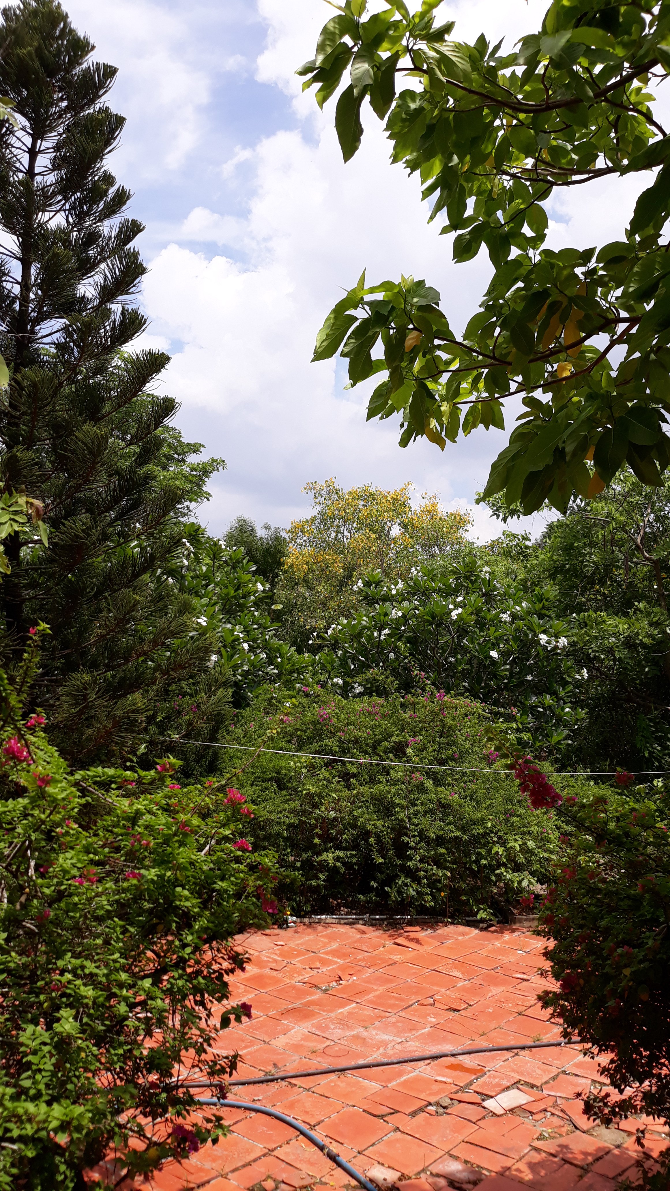 20190520_105344.jpg