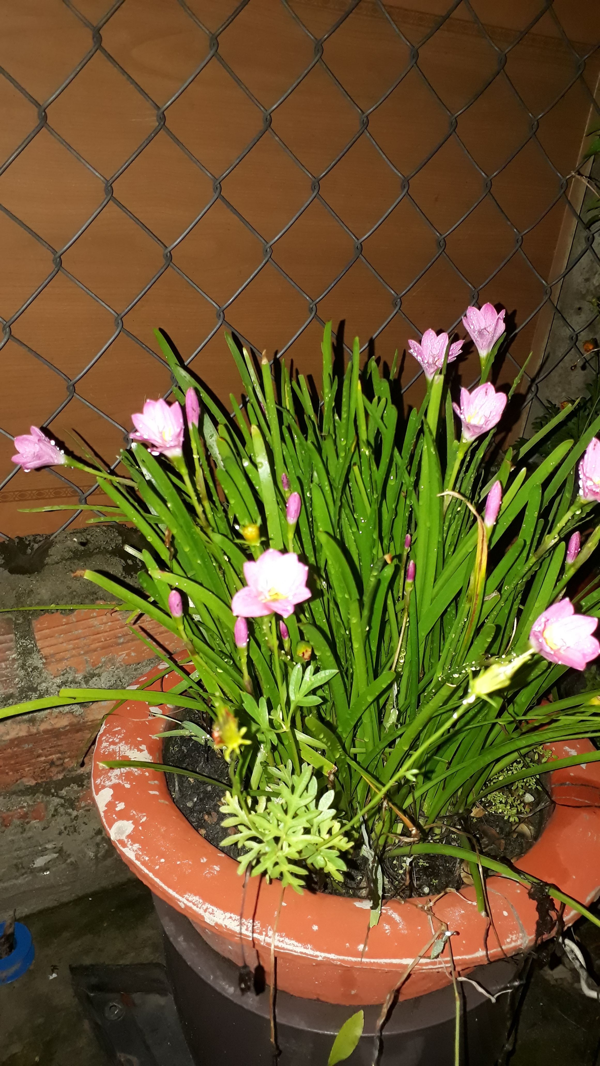 20190526_201123.jpg