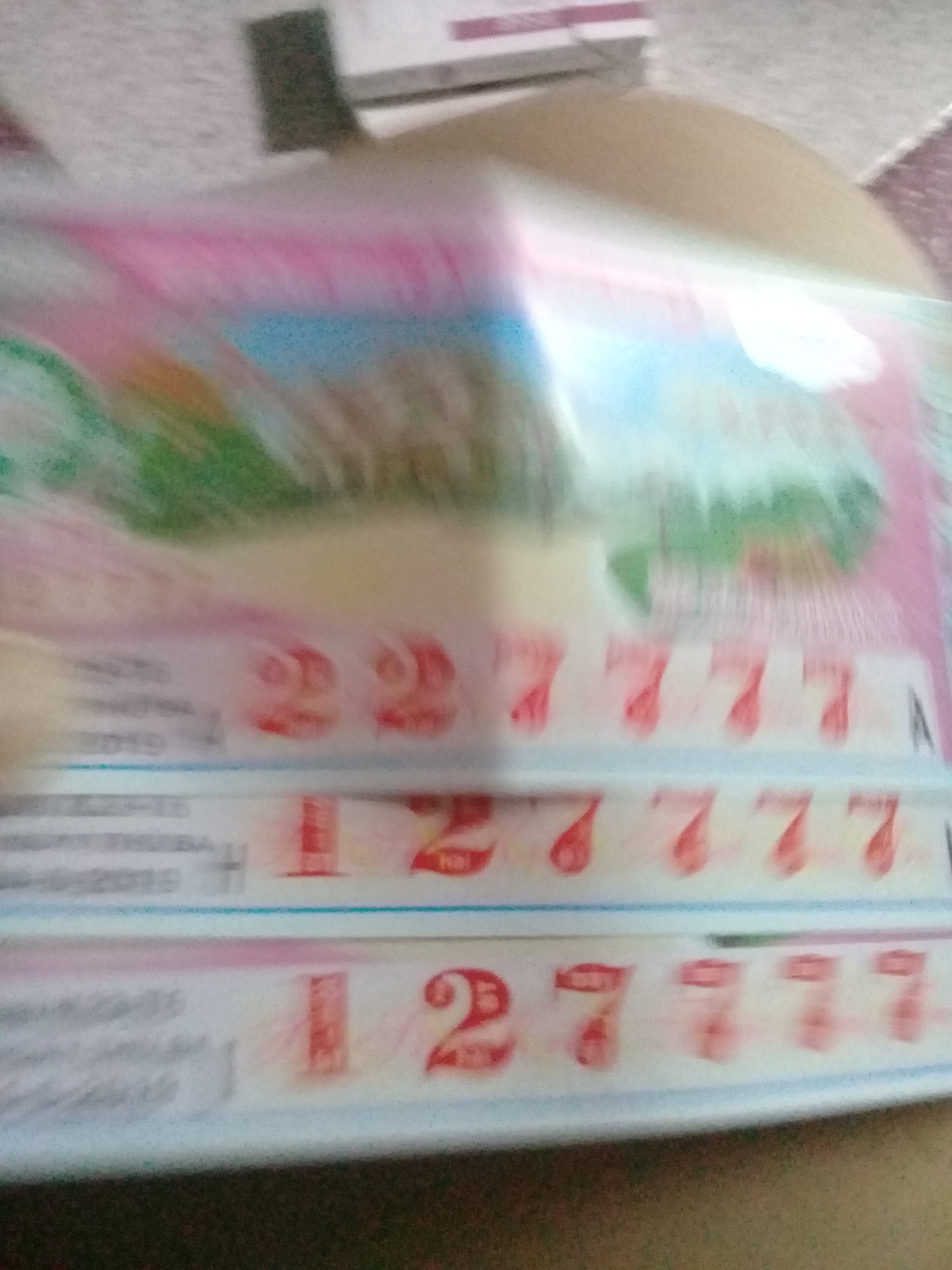 20190604_160243.jpg