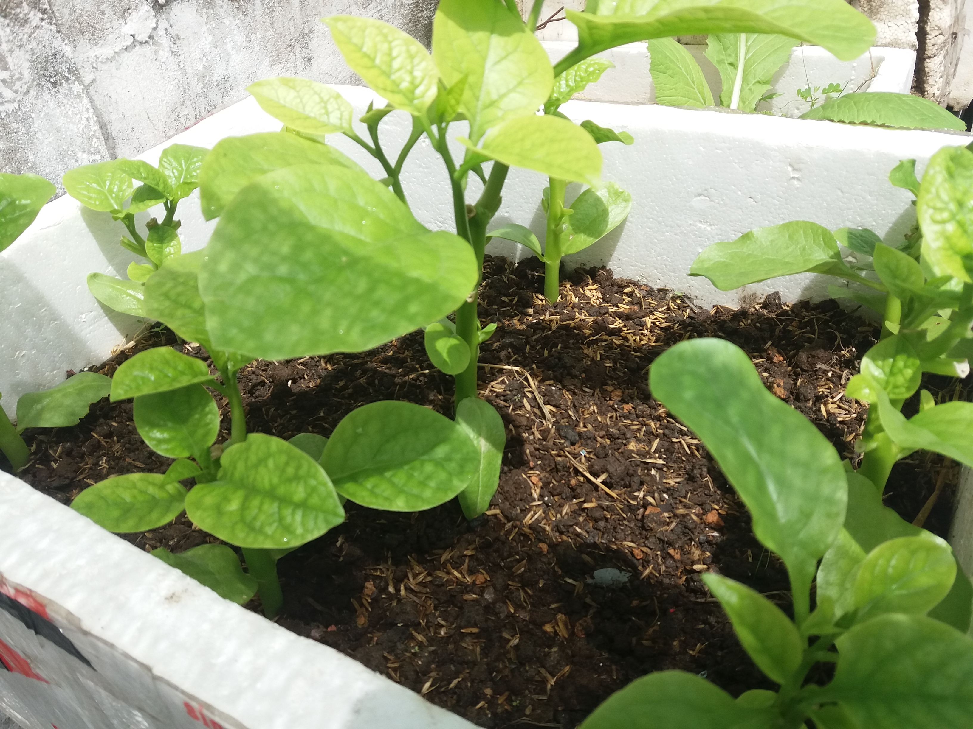 20190623_103819.jpg