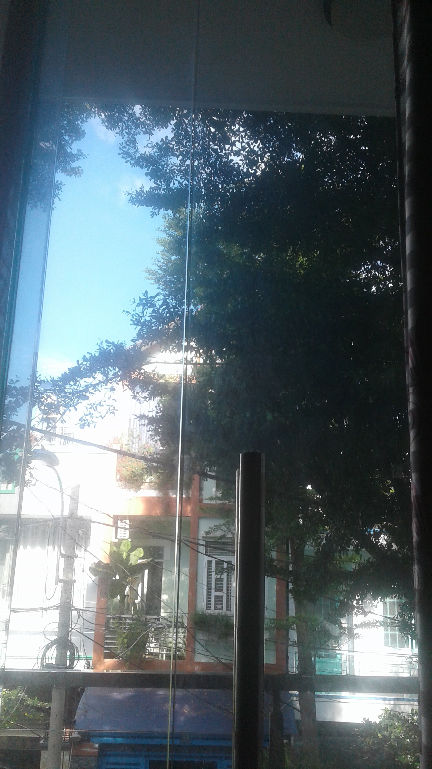 20190623_151234.jpg
