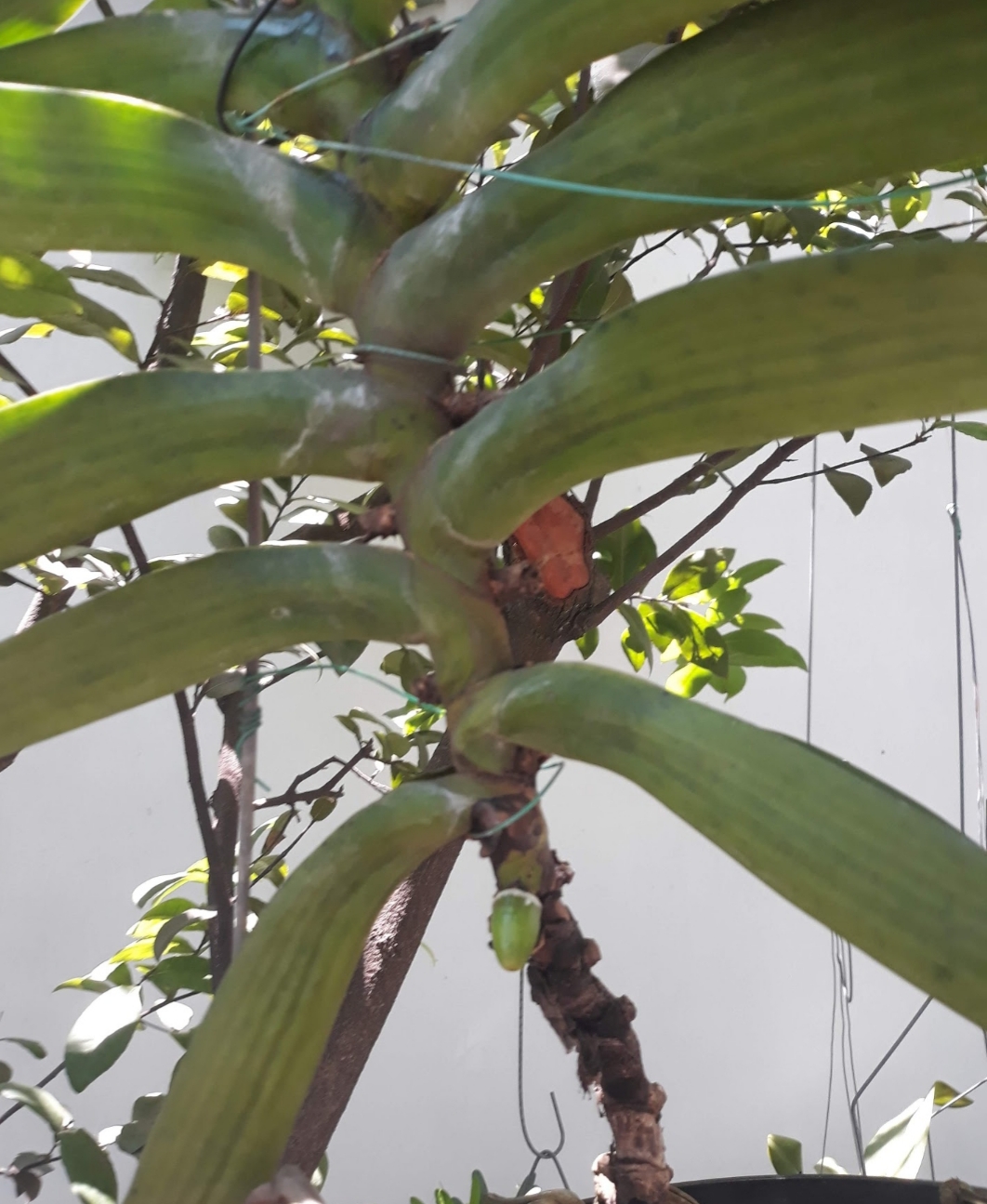 20190624_092531.jpg