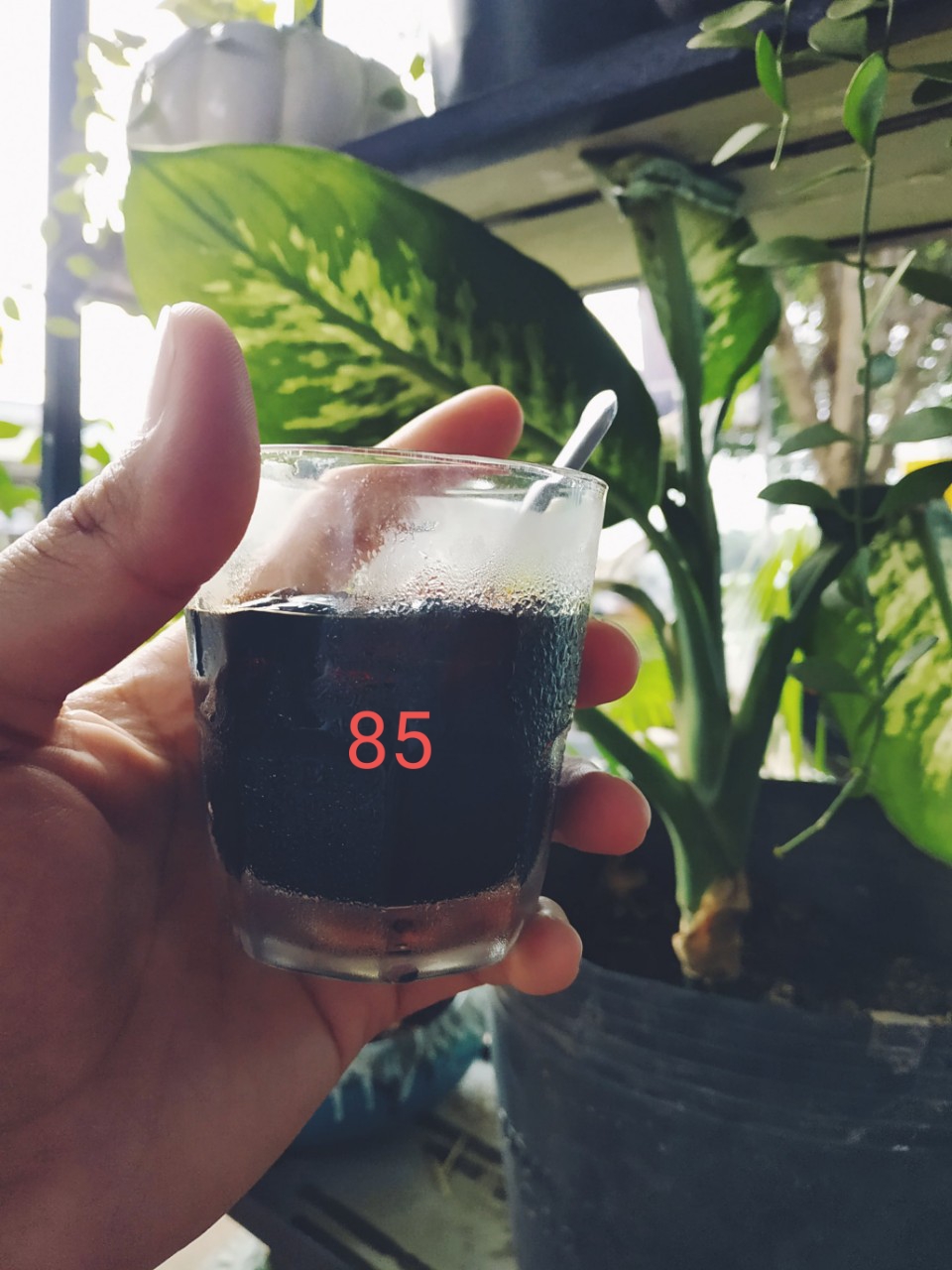 20190712_134949.jpg