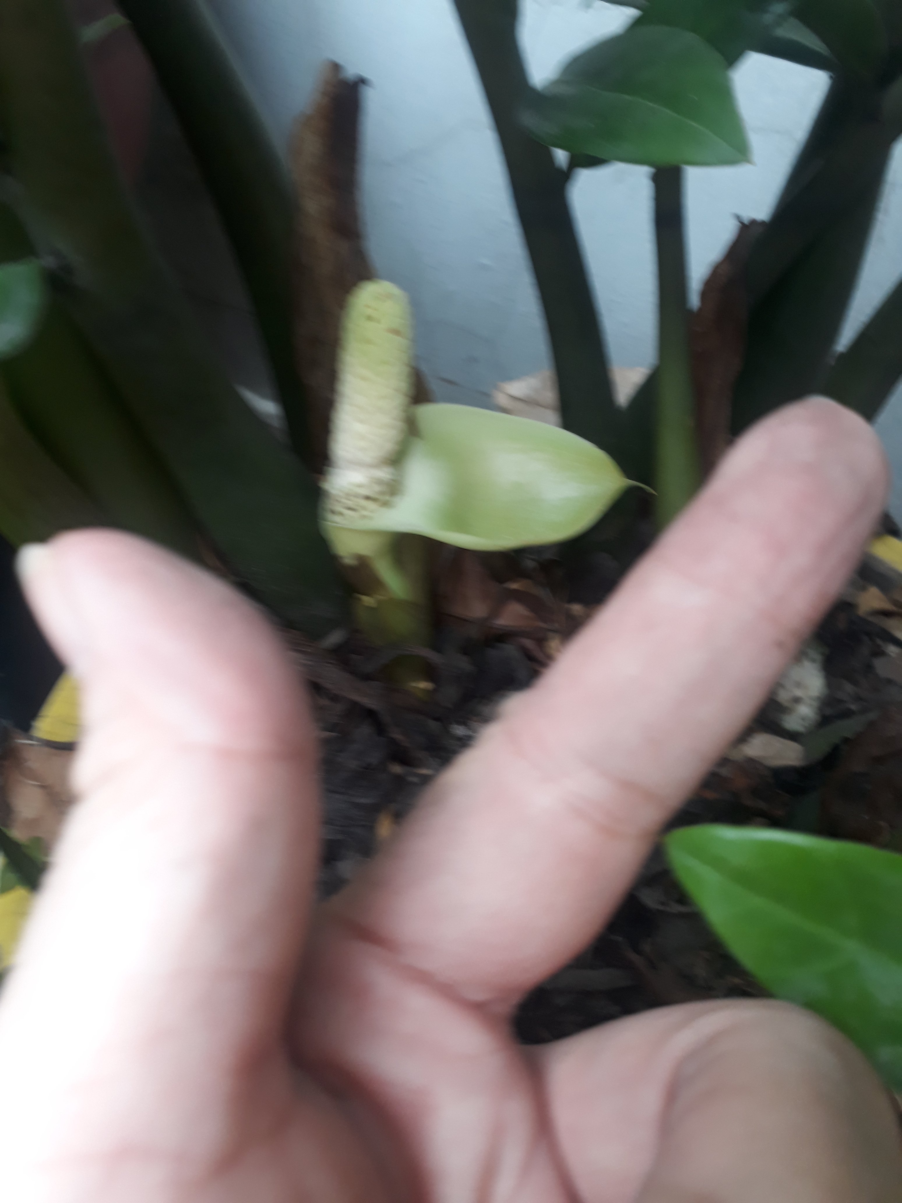 20190716_160107.jpg