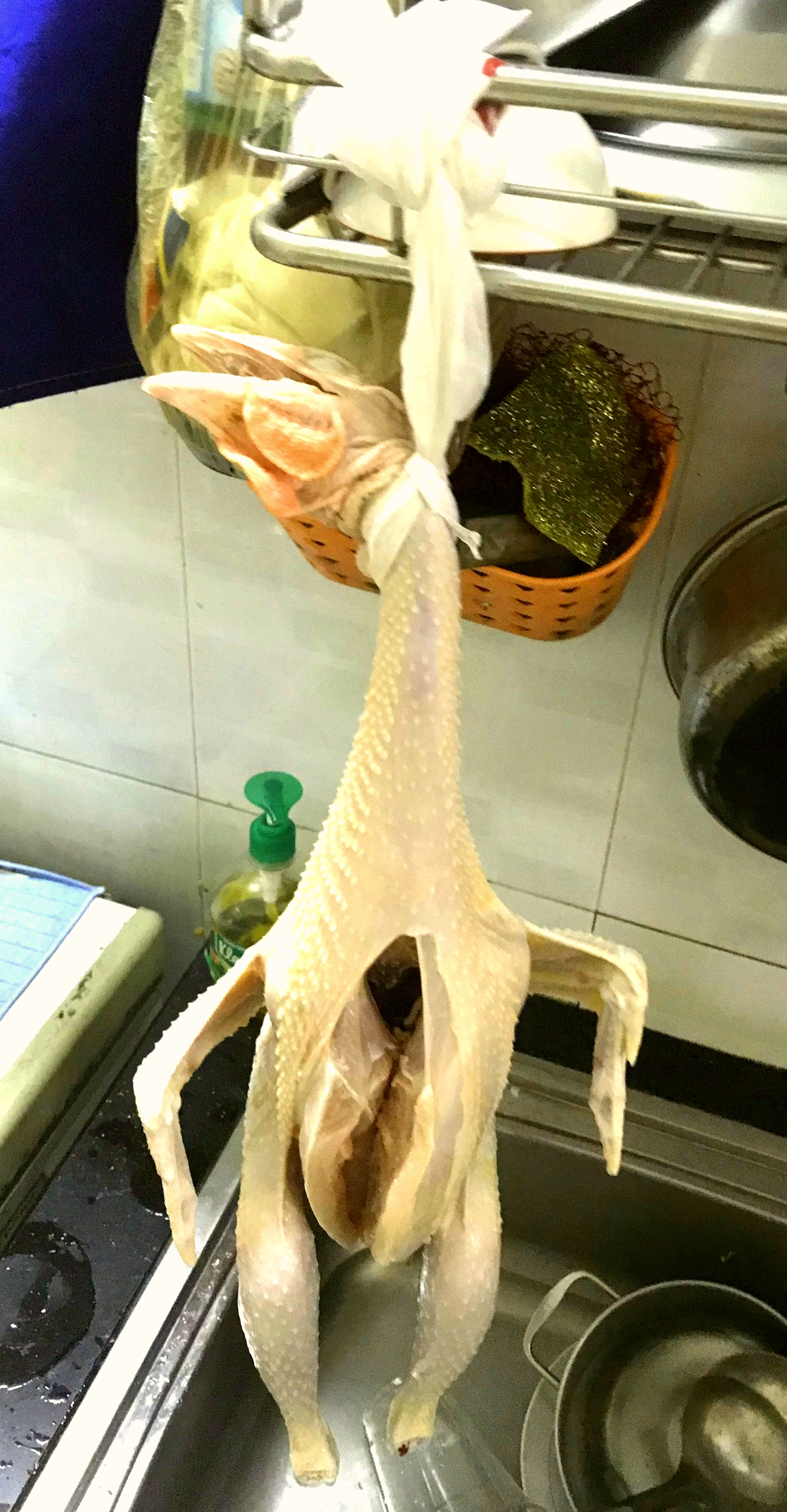 20190805_101452.jpg