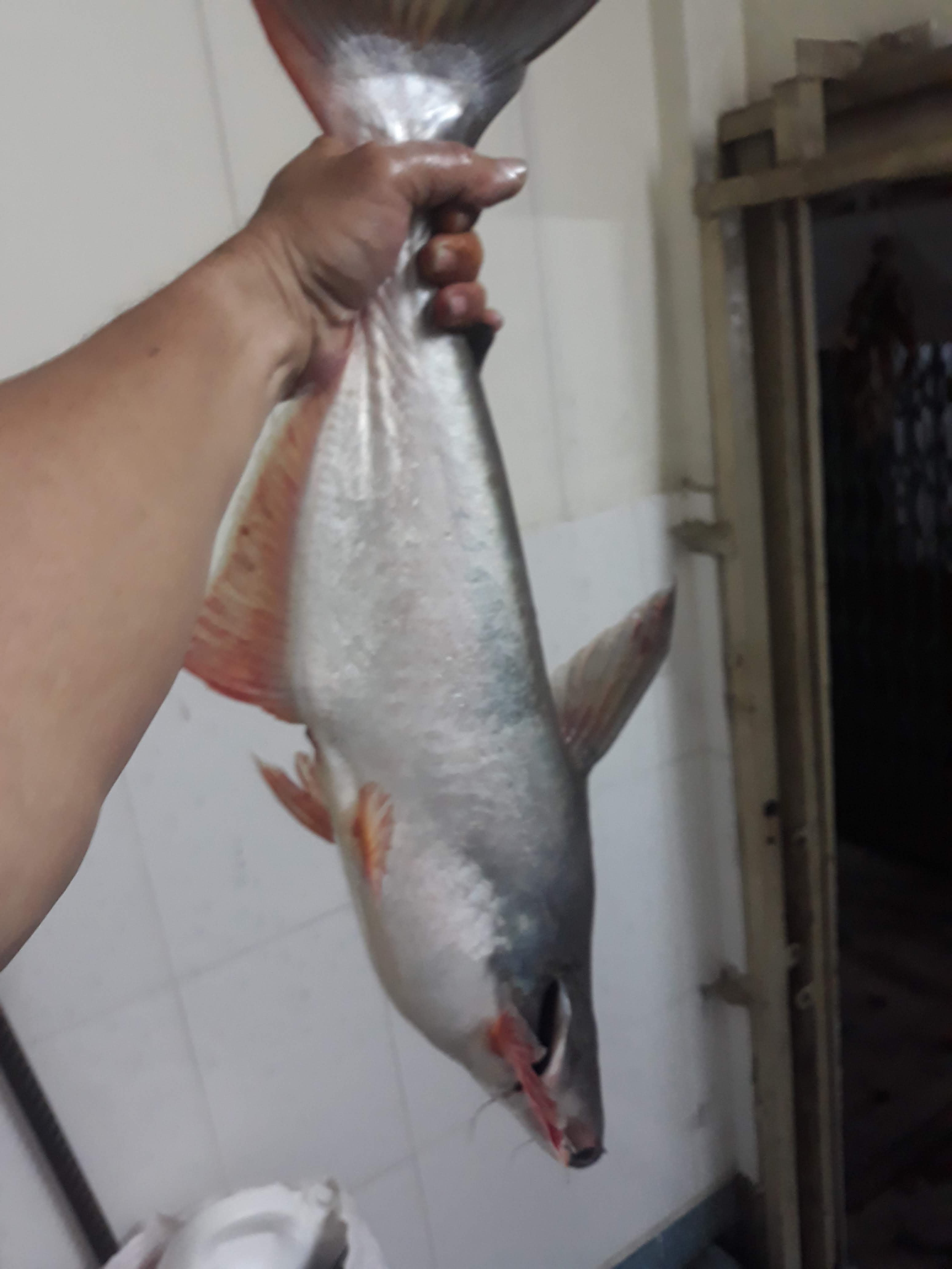 20190809_192739.jpg