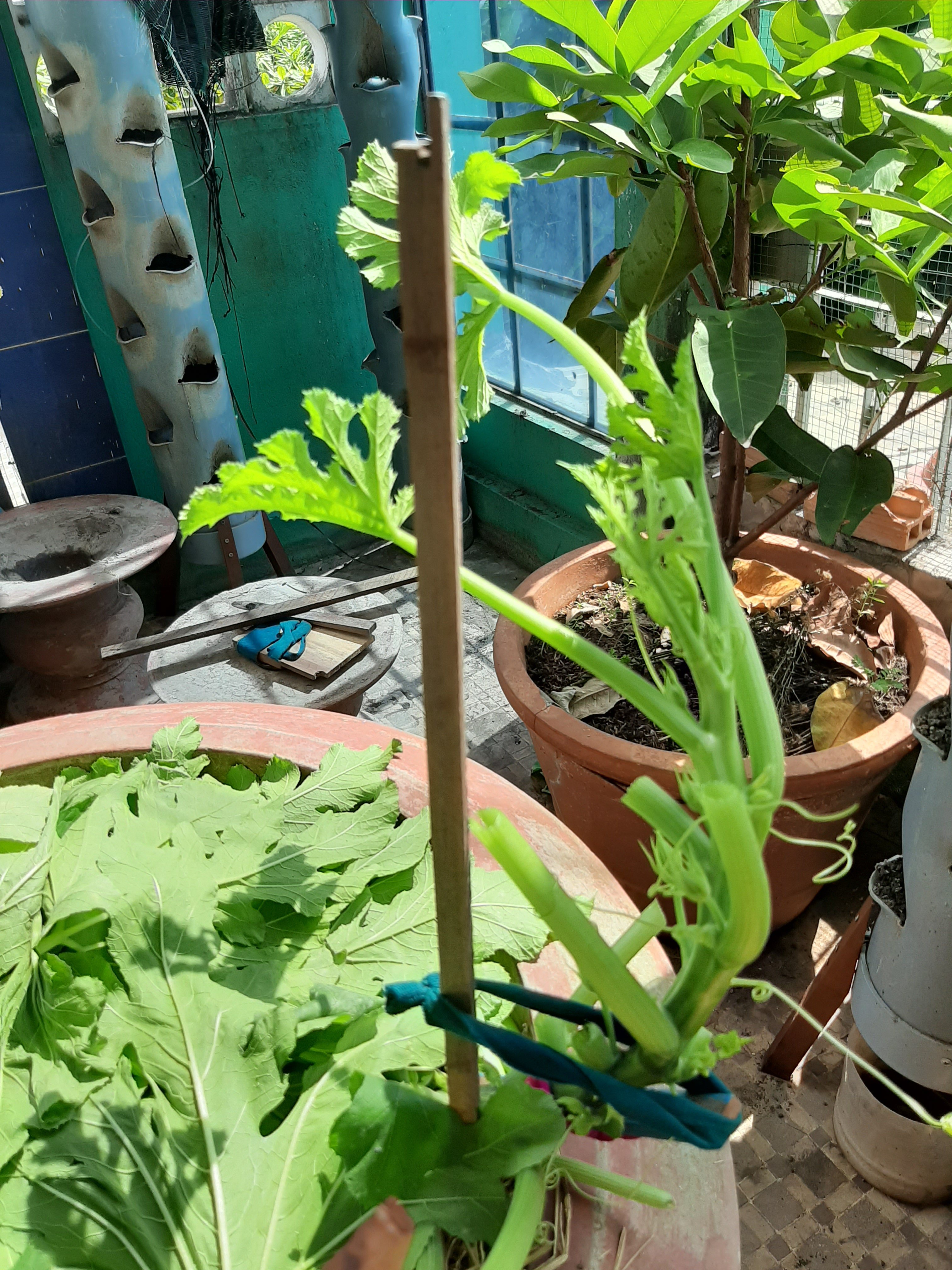 20190822_094430.jpg